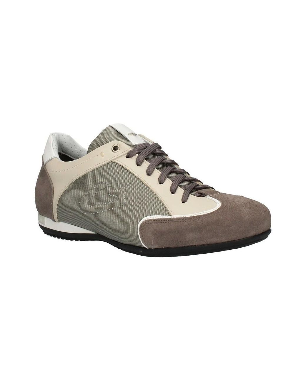Alberto deals guardiani adler