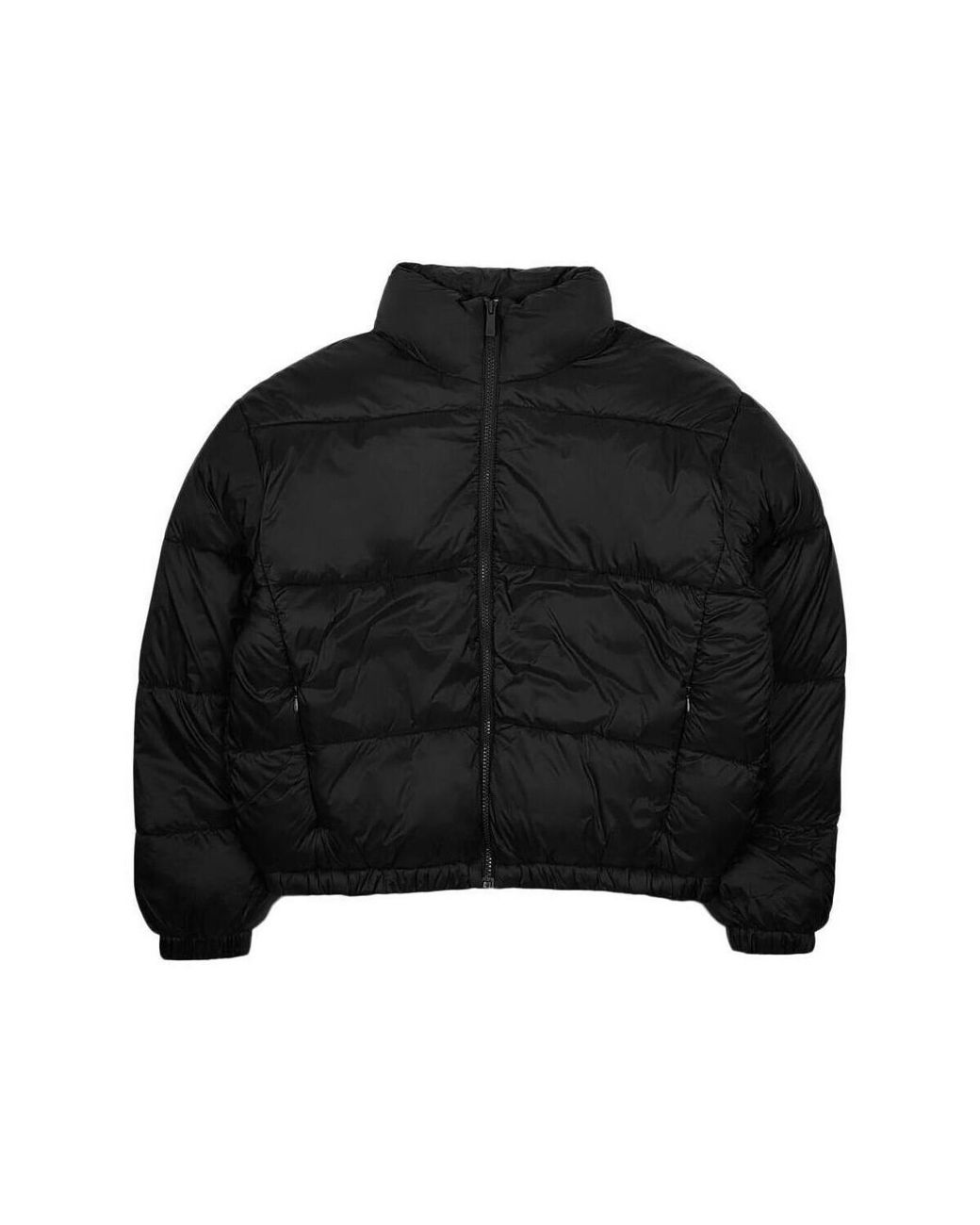 Doudounes Breamer Teddy Smith en coloris Black