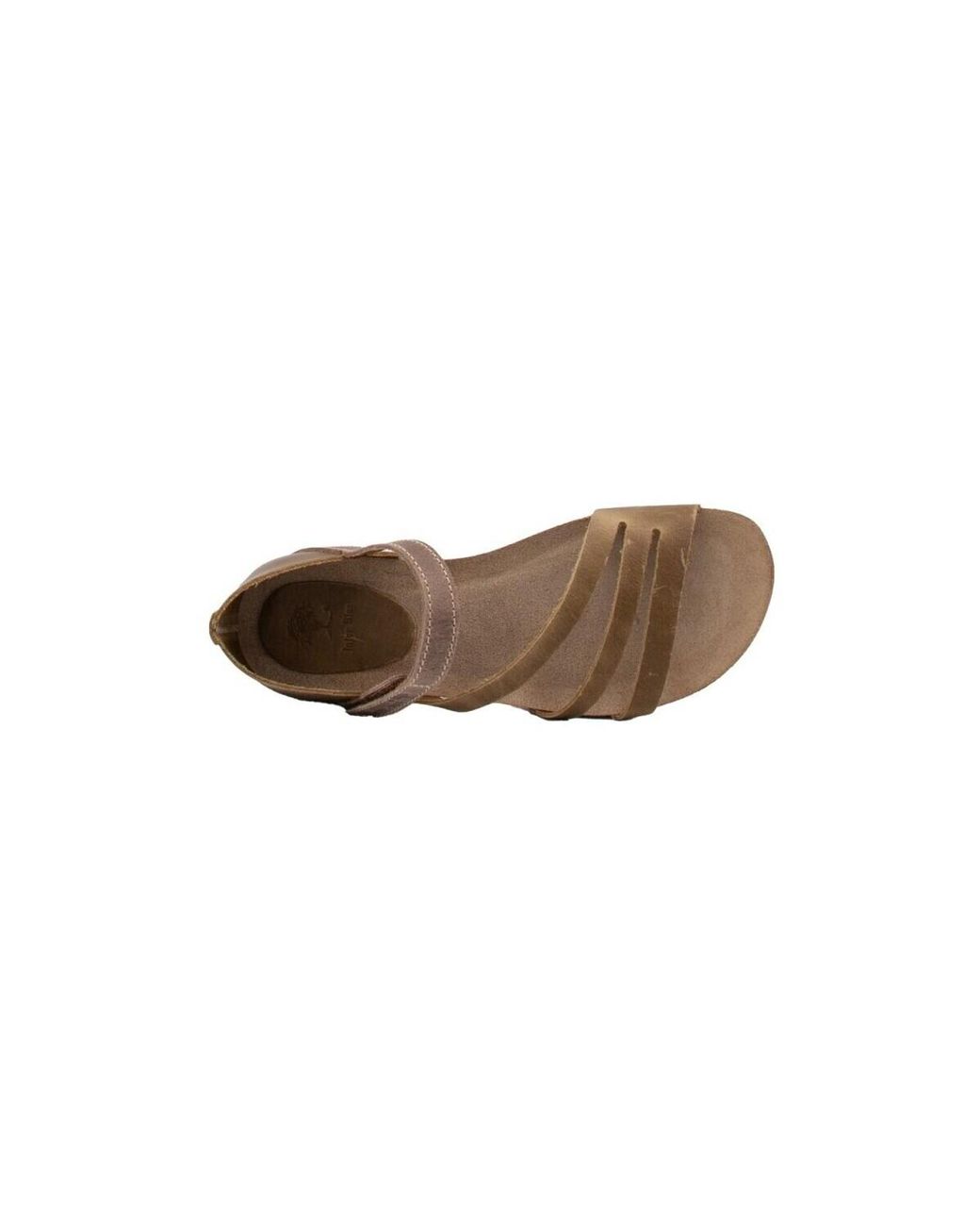 Sandales Baskets 4476 Interbios en coloris Green