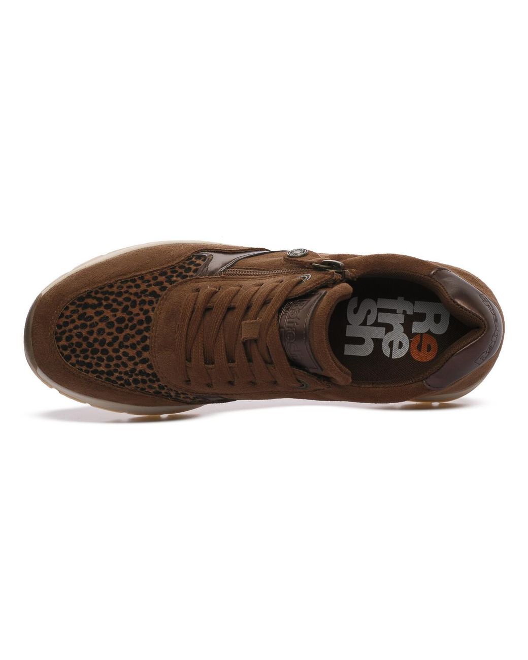 Baskets Camel Refresh en coloris Brown