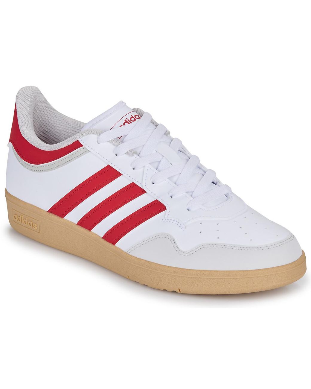 Baskets basses HOOPS 4.0 Adidas en coloris White