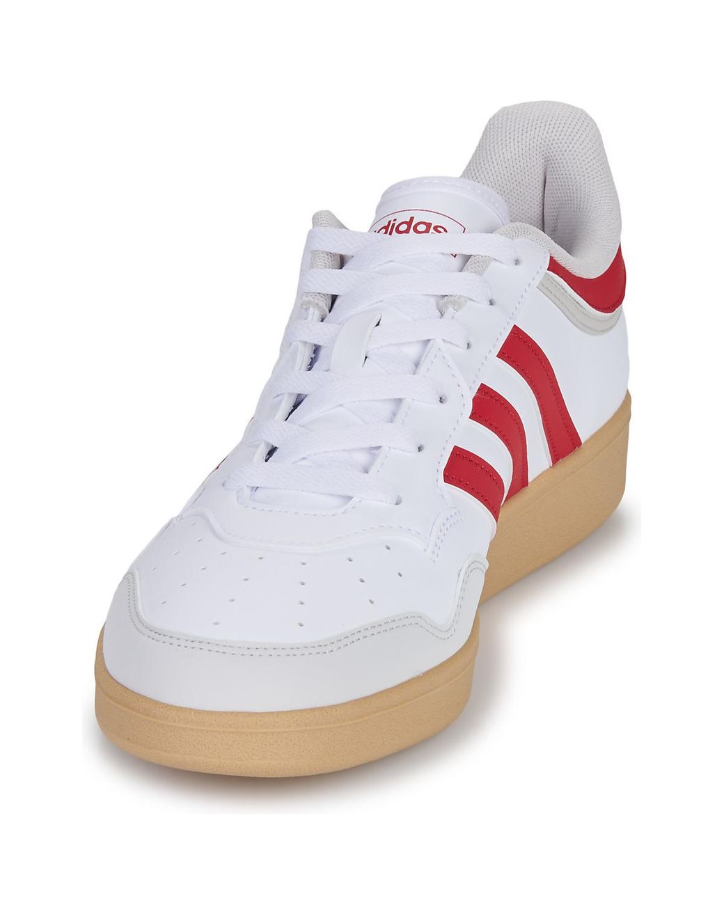 Baskets basses HOOPS 4.0 Adidas en coloris White