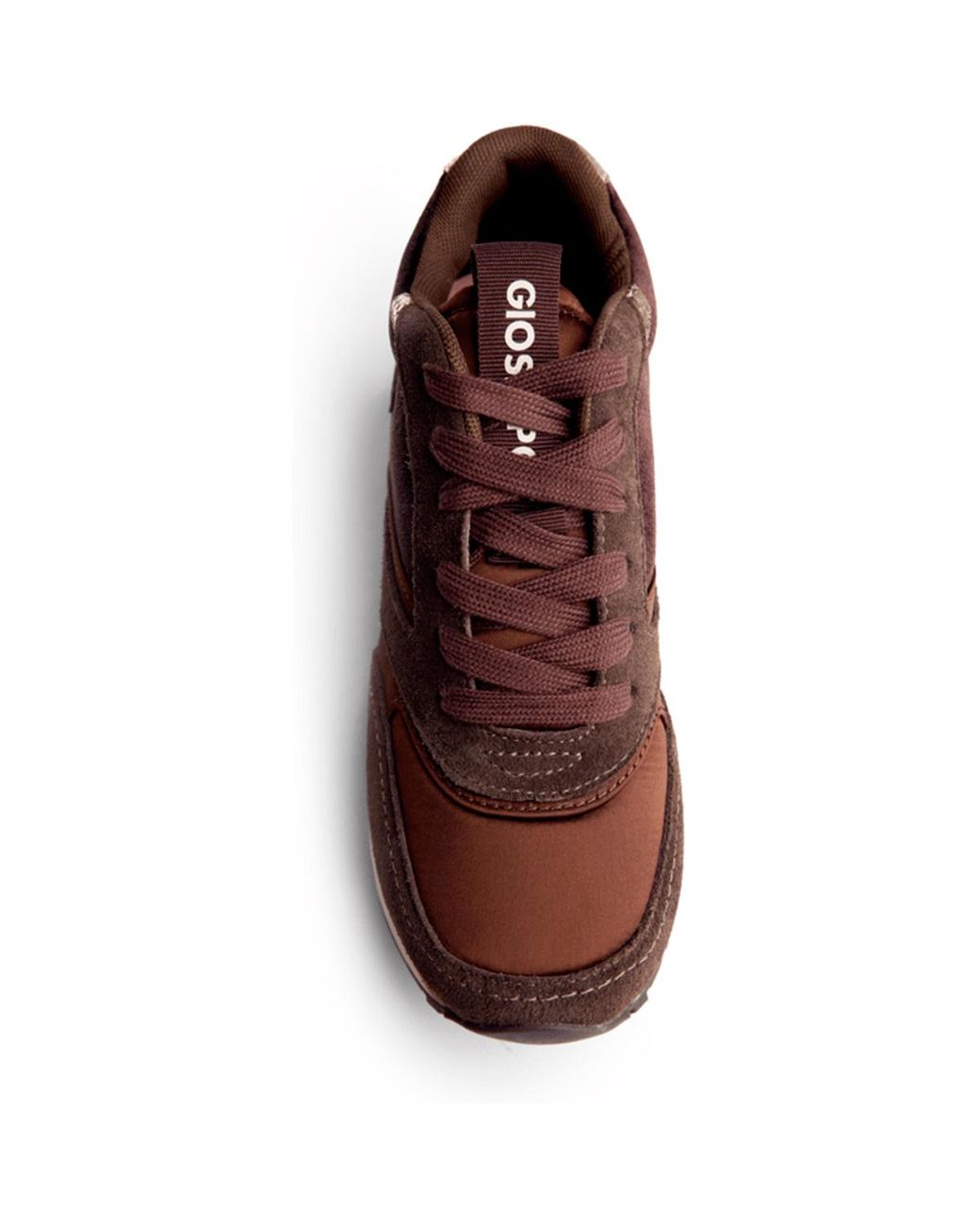 Baskets Basses 77024 Gioseppo en coloris Brown