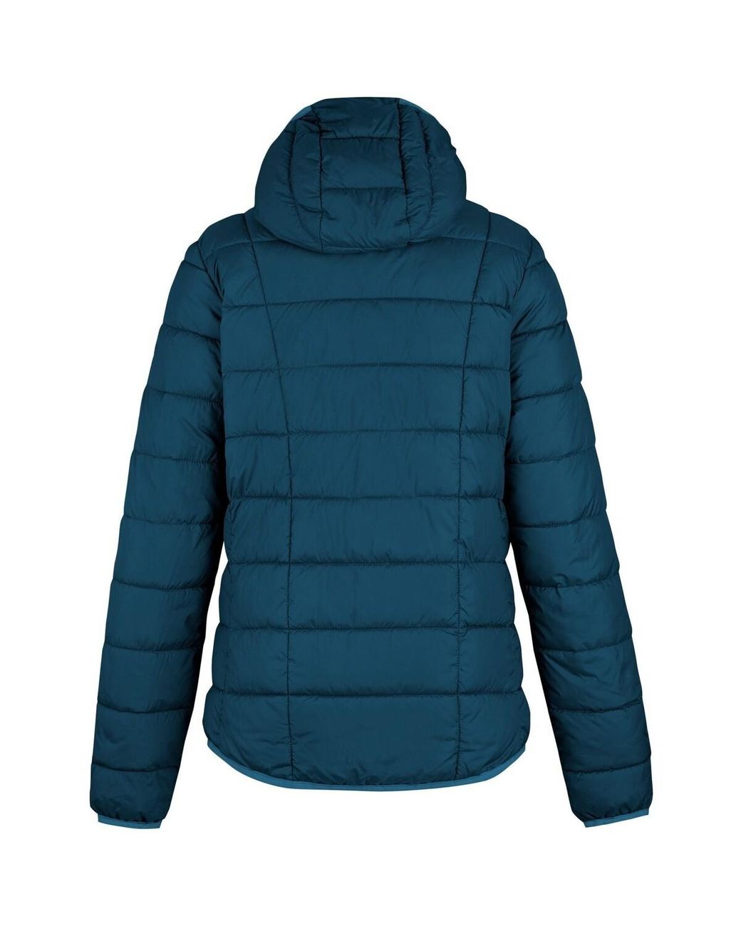 Blouson Asper Regatta en coloris Blue