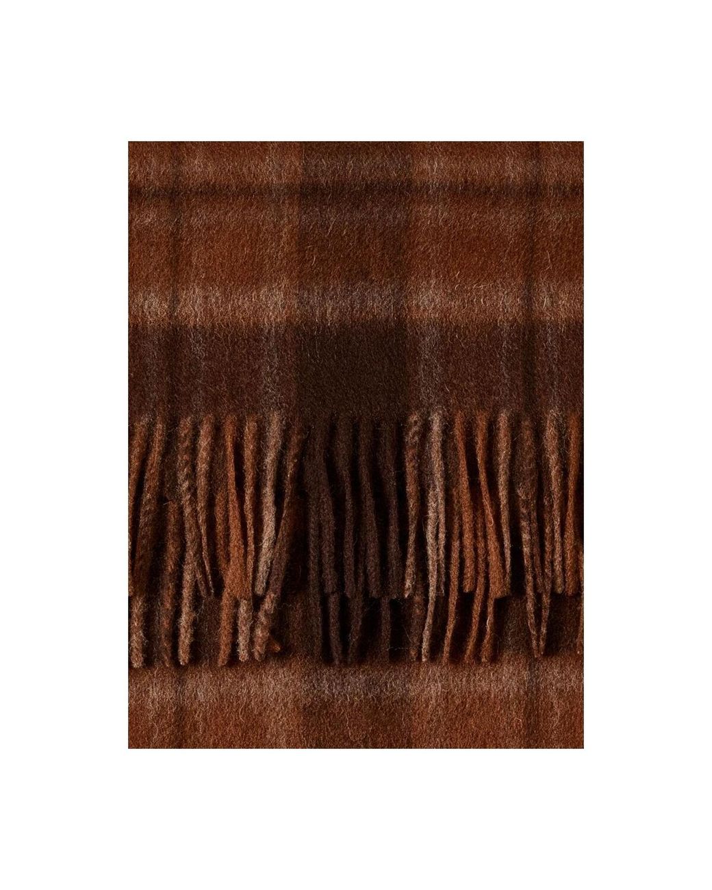 Echarpe 16095262-M SELECTED en coloris Brown