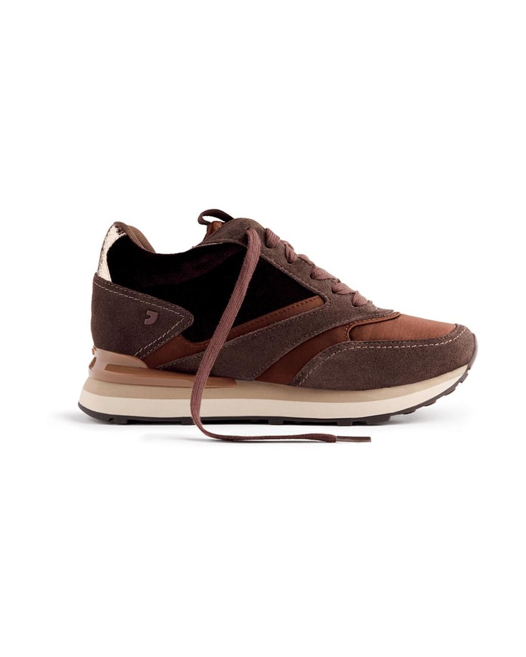 Baskets Basses 77024 Gioseppo en coloris Brown