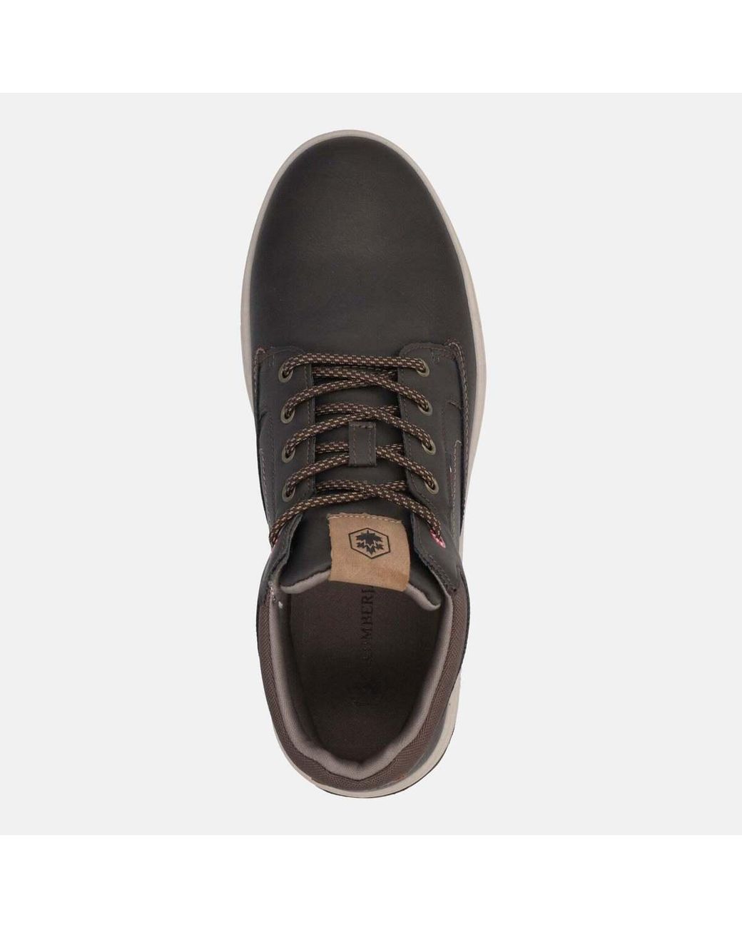 Baskets Sneakers Lumberjack pour homme en coloris Brown