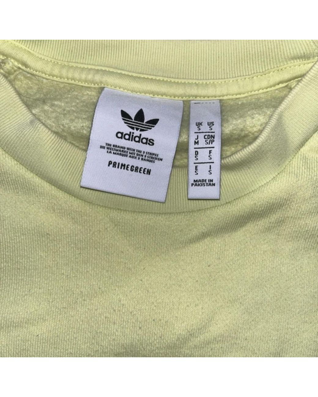 Pull Pull adidas Adidas en coloris Green