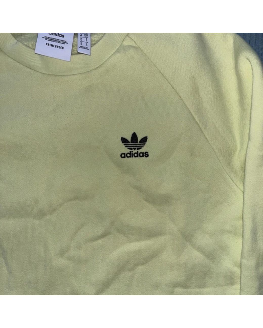 Pull Pull adidas Adidas en coloris Green