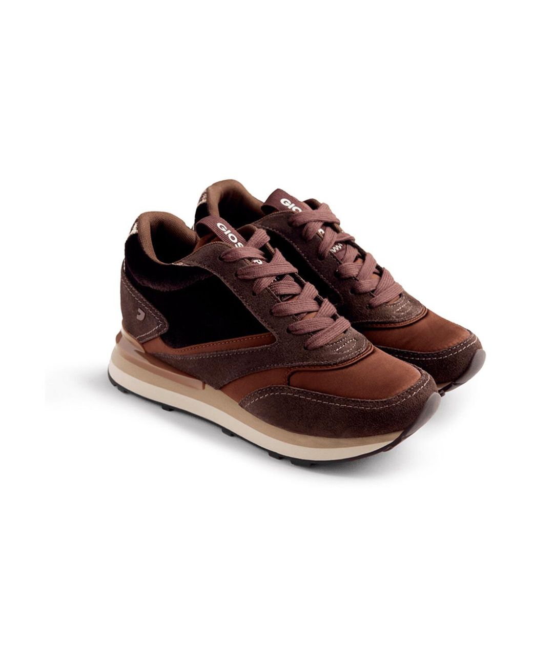 Baskets Basses 77024 Gioseppo en coloris Brown