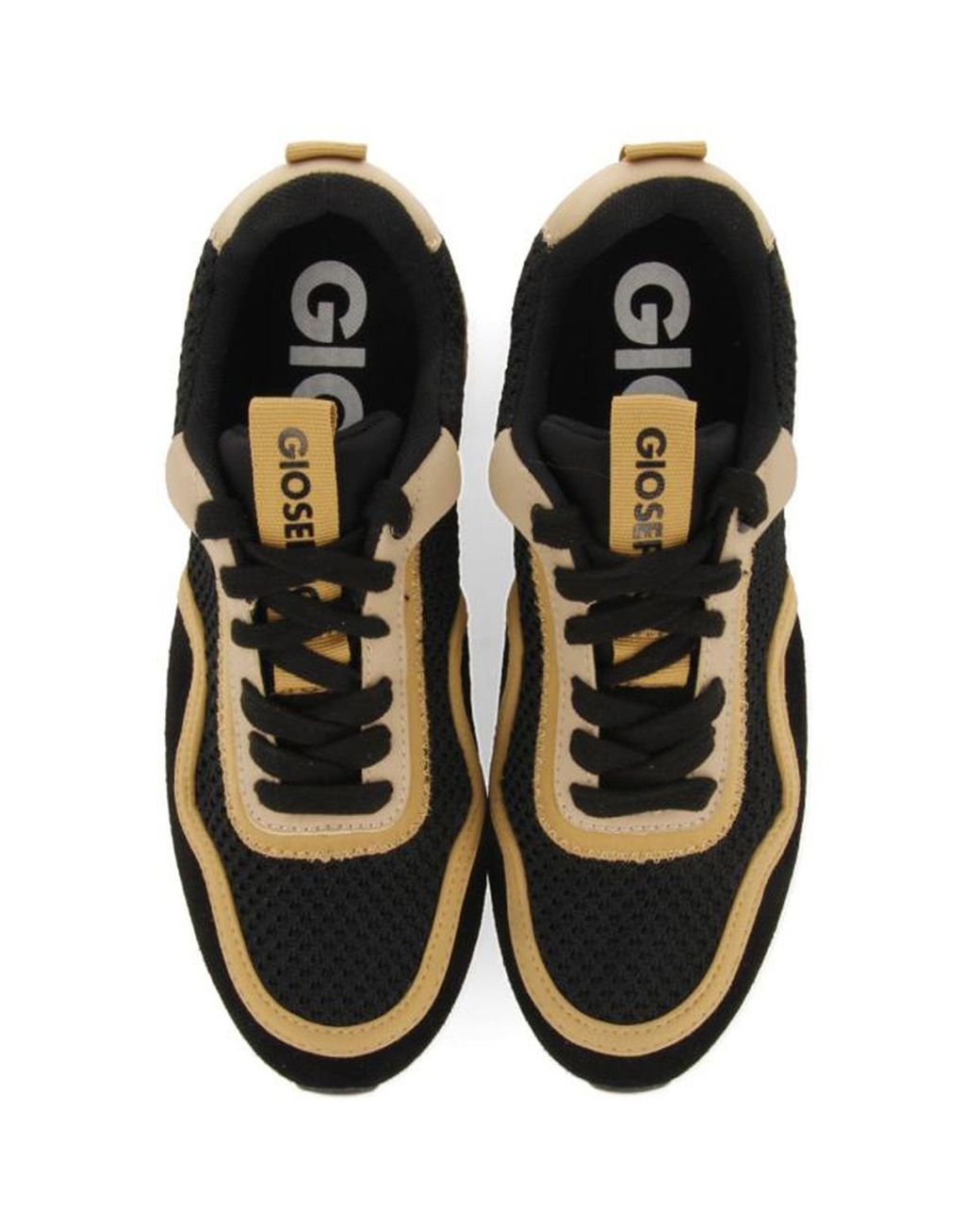 Baskets Basses 71063 Negro Gioseppo en coloris Black