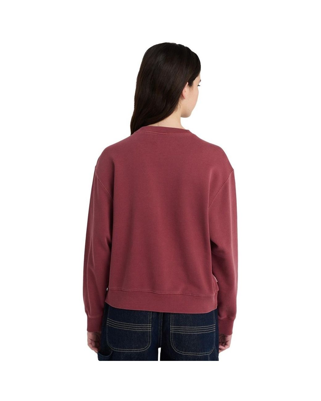 Pull Cornell 3.0 Element en coloris Red