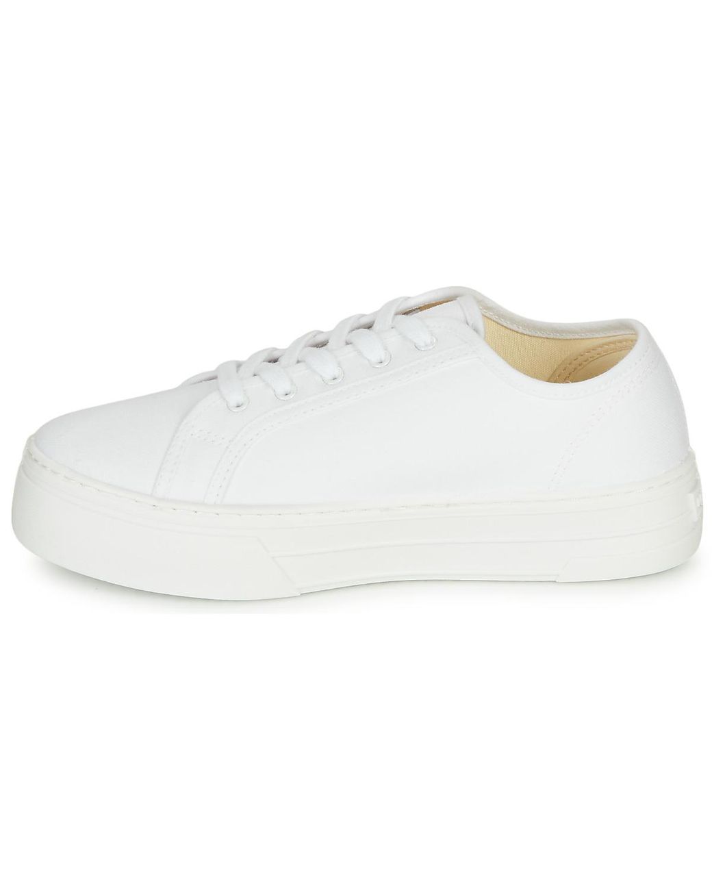 Levi's White Sneaker tijuana