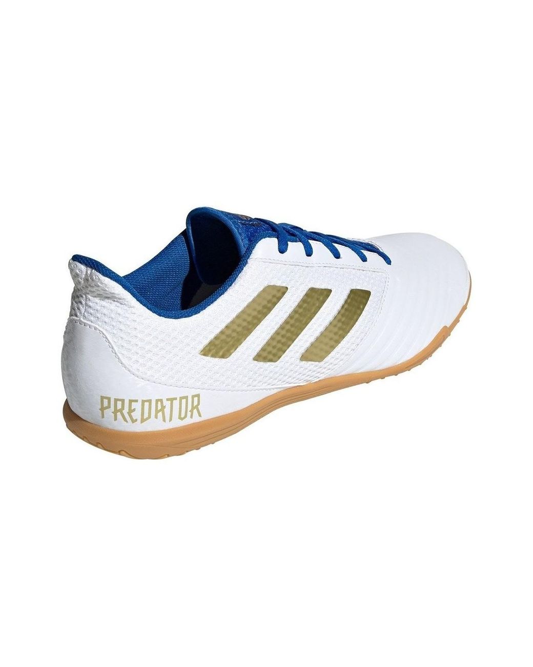bambas predator