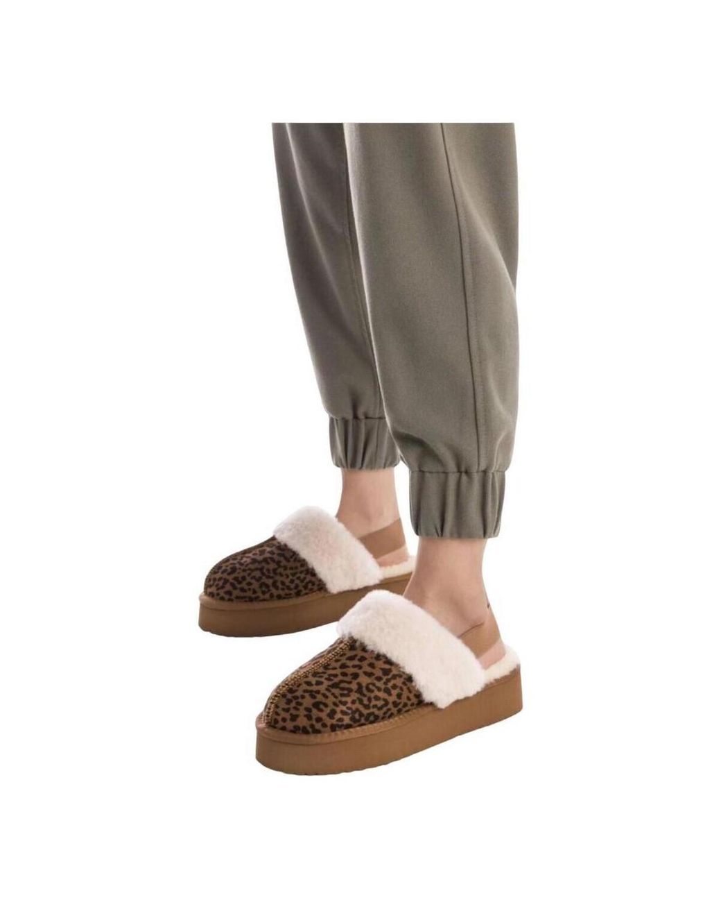 Chaussons 144440-Leopardo Xti en coloris Brown