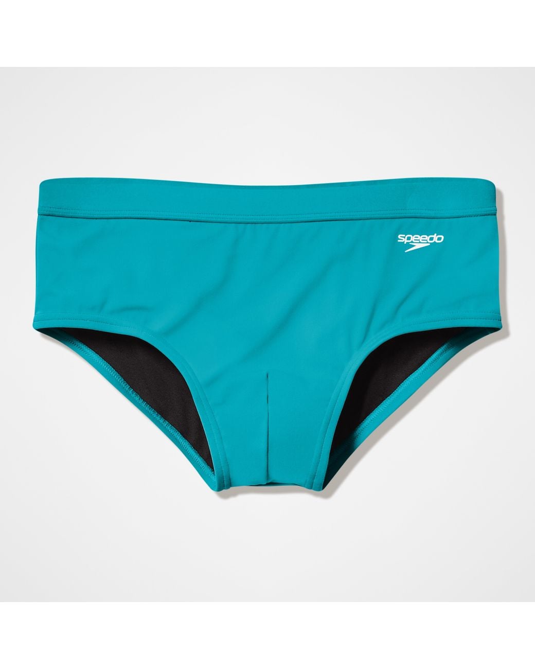 Speedo Blue The Briefs for men