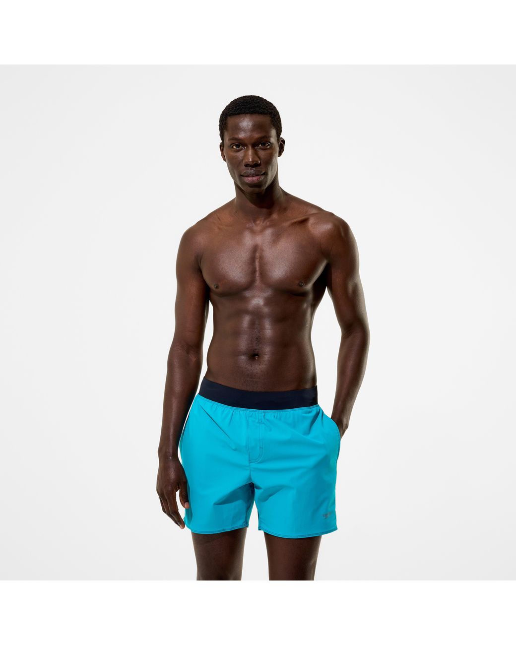 Speedo Blue Lookout Solid Swim Shorts for men