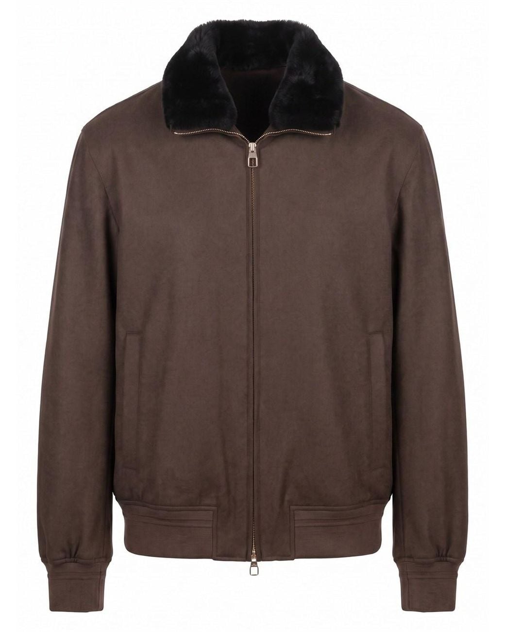 Montecore Brown Jacket for men