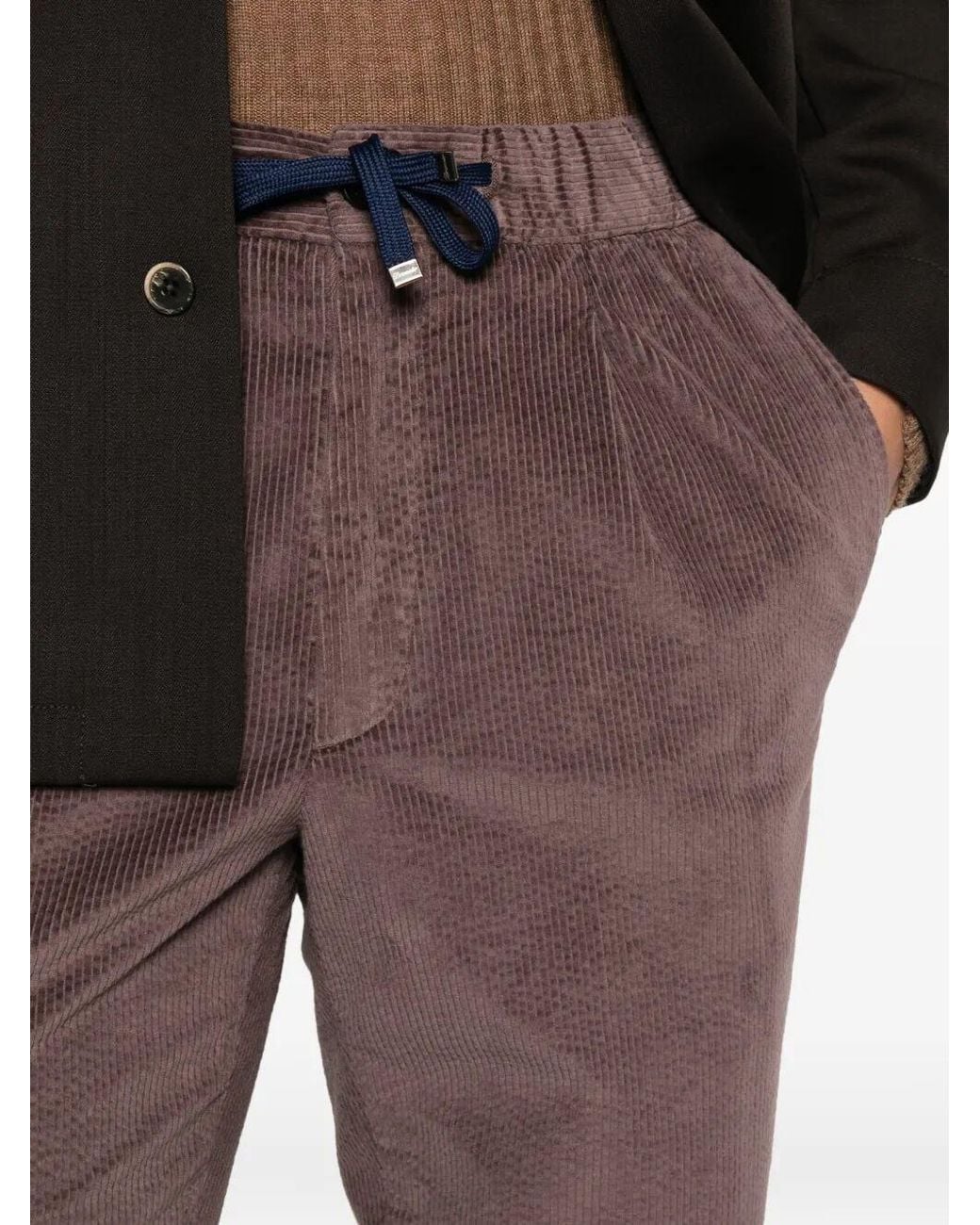 Drumohr Purple Pants for men