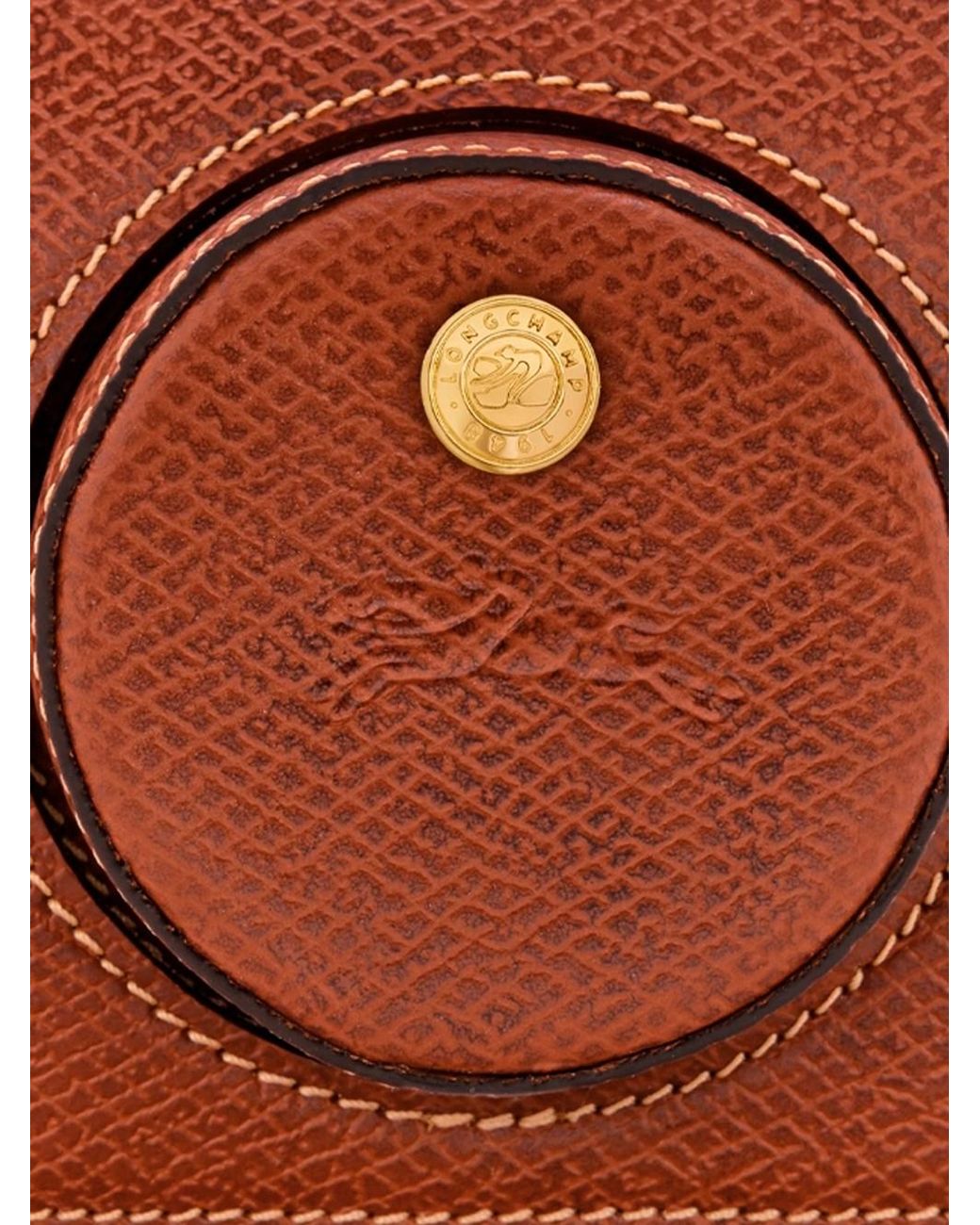 Longchamp Brown 'Epure' Small Camera Bag