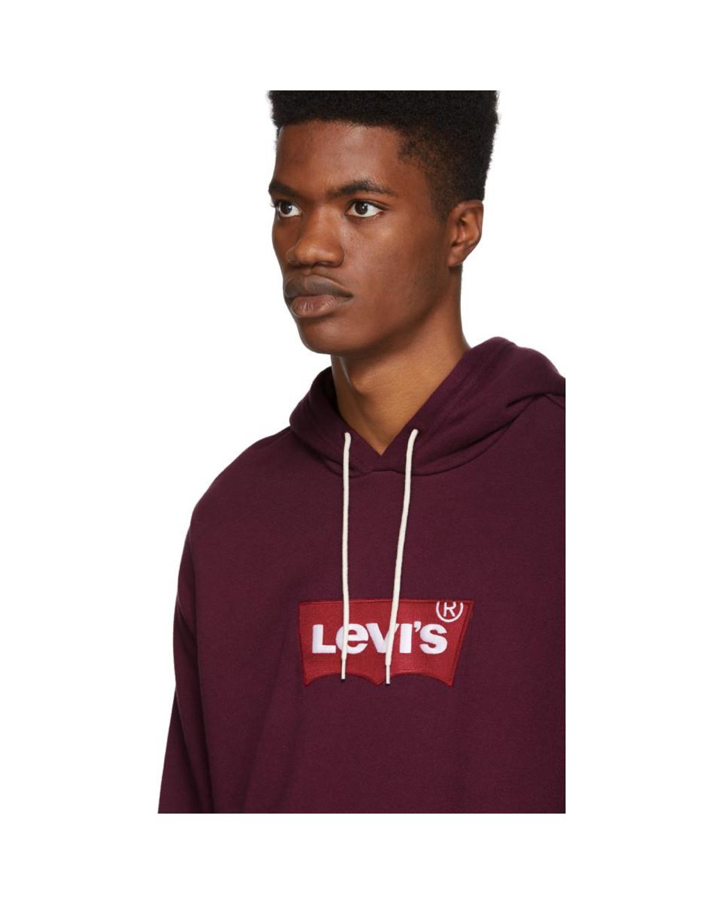 Levi's Cotton Modern Hm Hoodie Blue in 