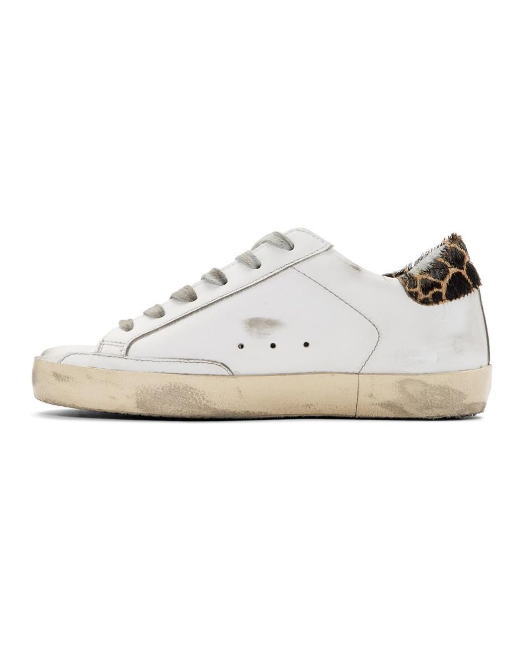 giraffe golden goose