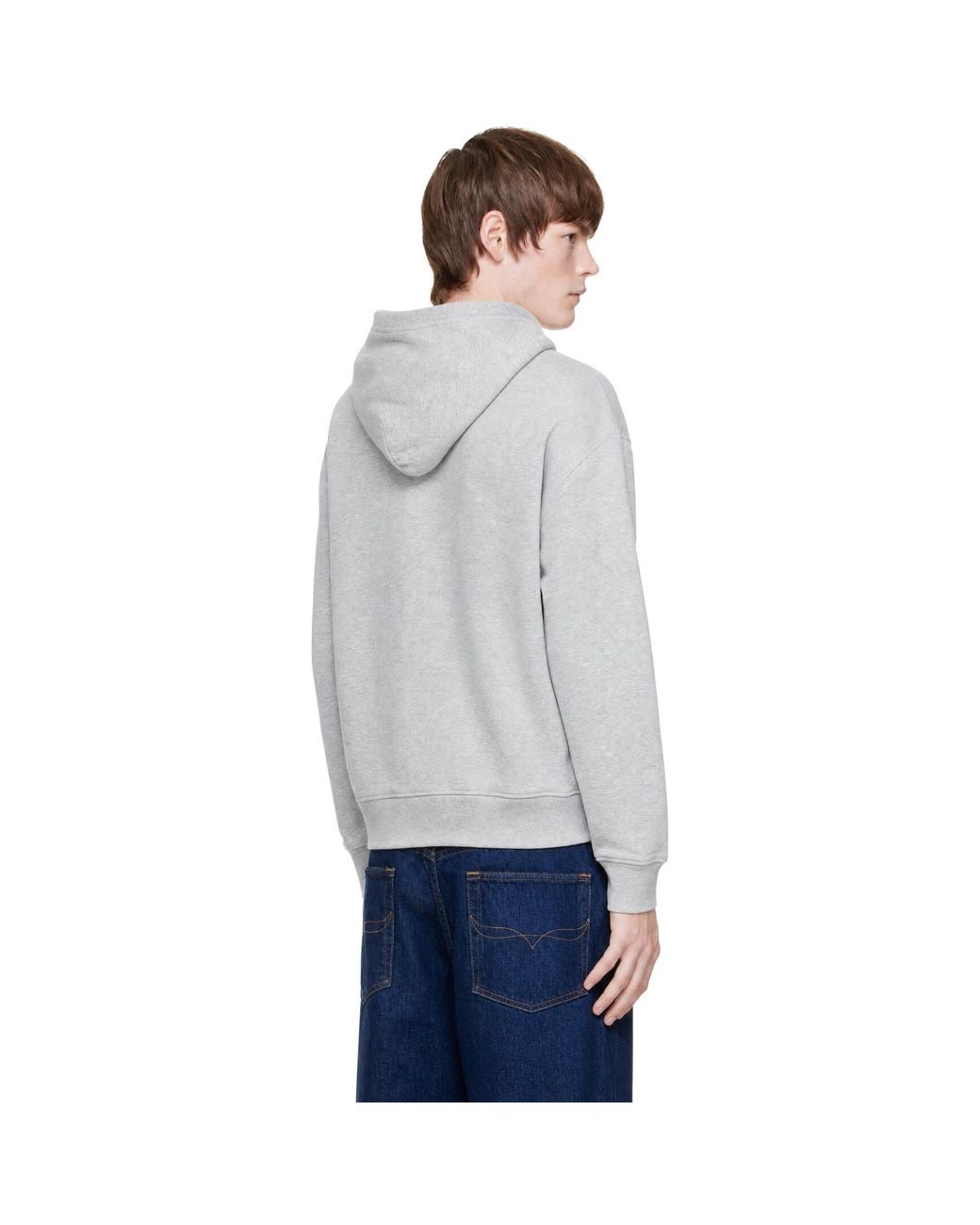 Polo Ralph Lauren Gray 'The Rl' Fleece Hoodie for men