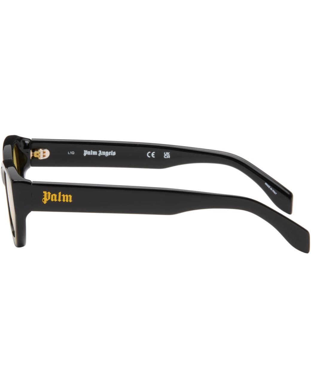Palm Angels Brown Eagle Sunglasses for men