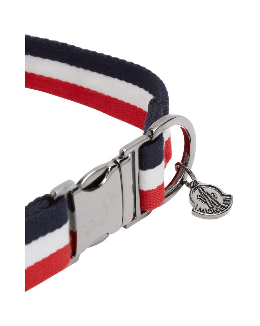 moncler dog collar