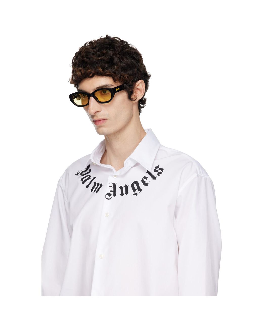 Palm Angels Brown Eagle Sunglasses for men