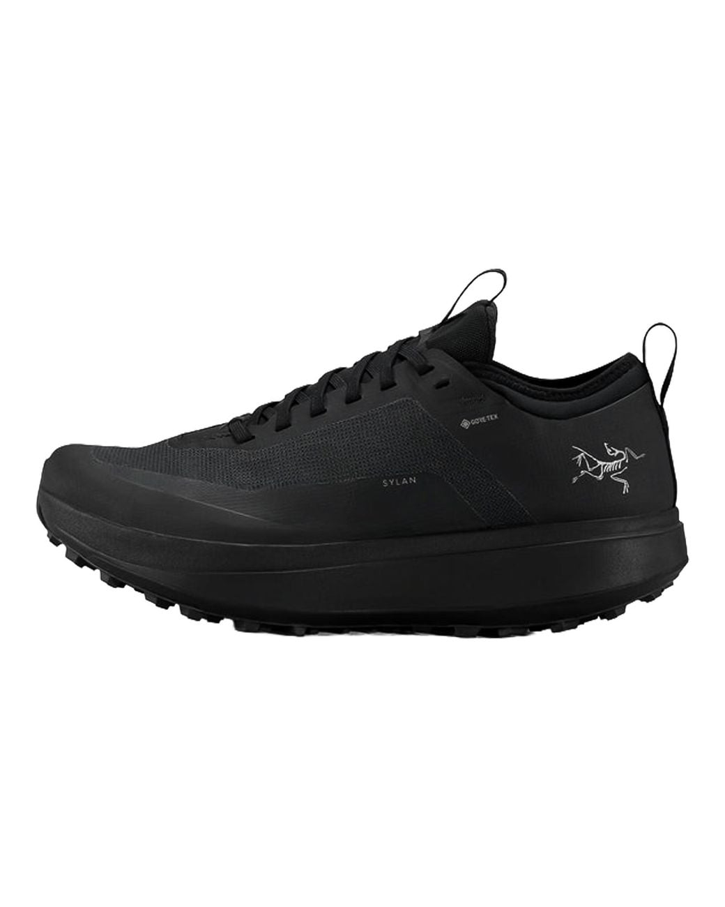 Arc'teryx Black Sylan Gore-Tex X000009601 021572" for men