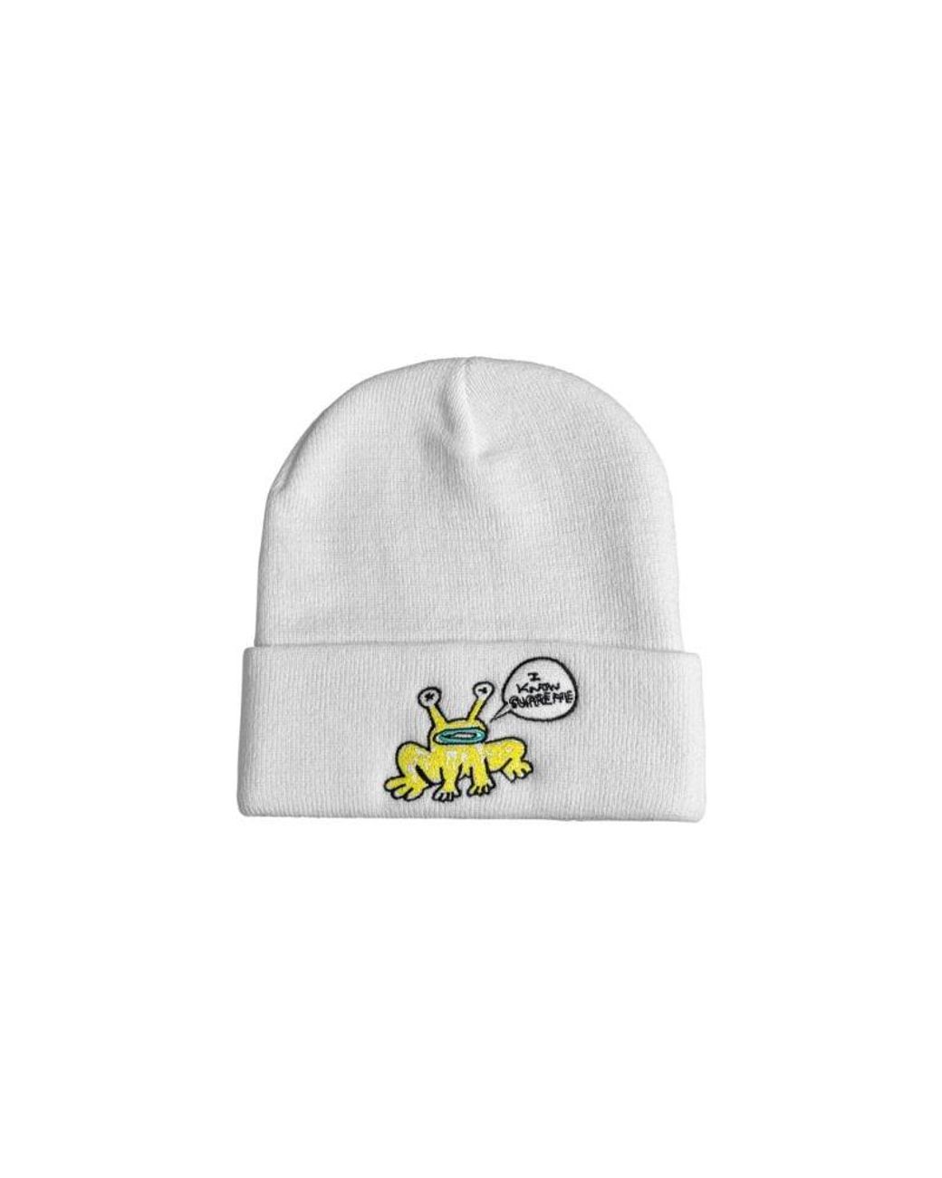 Supreme Daniel Johnston Beanie 