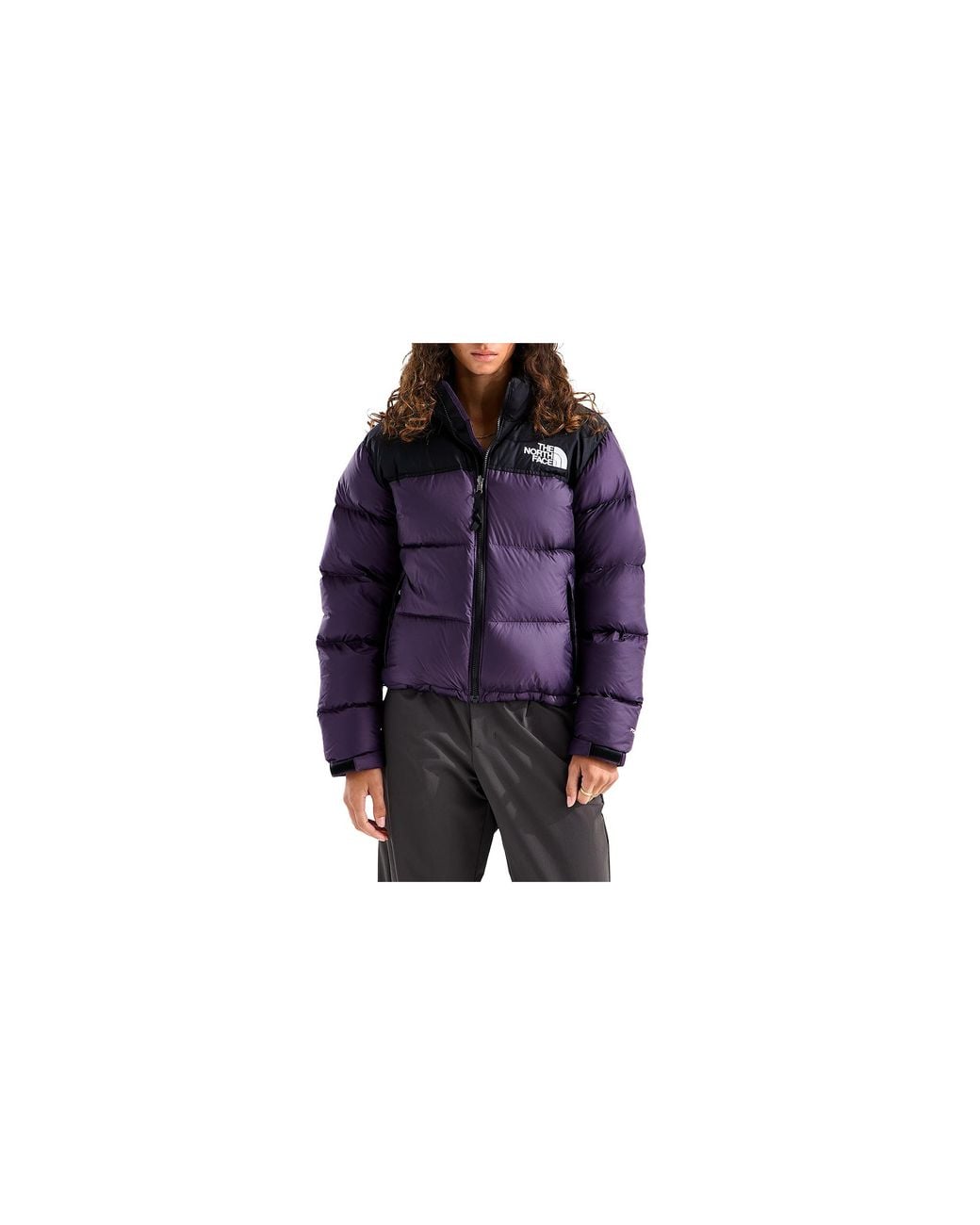 The North Face Black 1996 Retro Nuptse Jacket Nf0A3Xeogji"