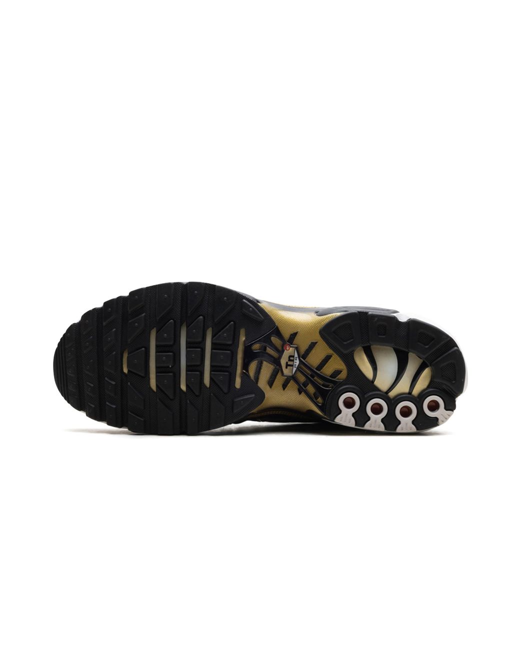 Nike Black Air Max Plus "Footlocker for men