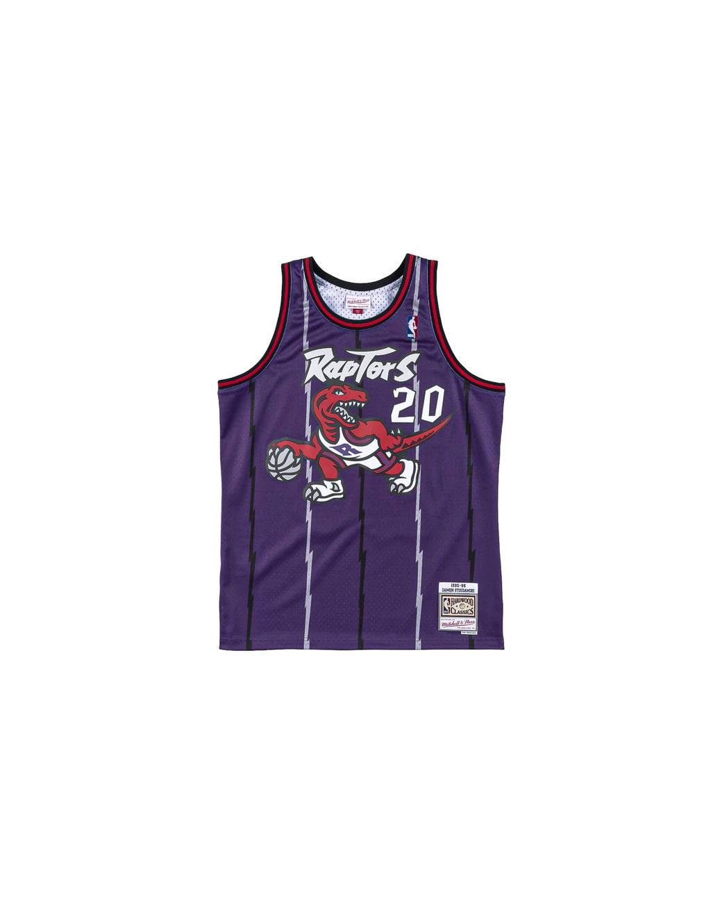 Mitchell & Ness Purple Toronto Raptors Damon Stoudamire Swingman Jersey "1995 for men