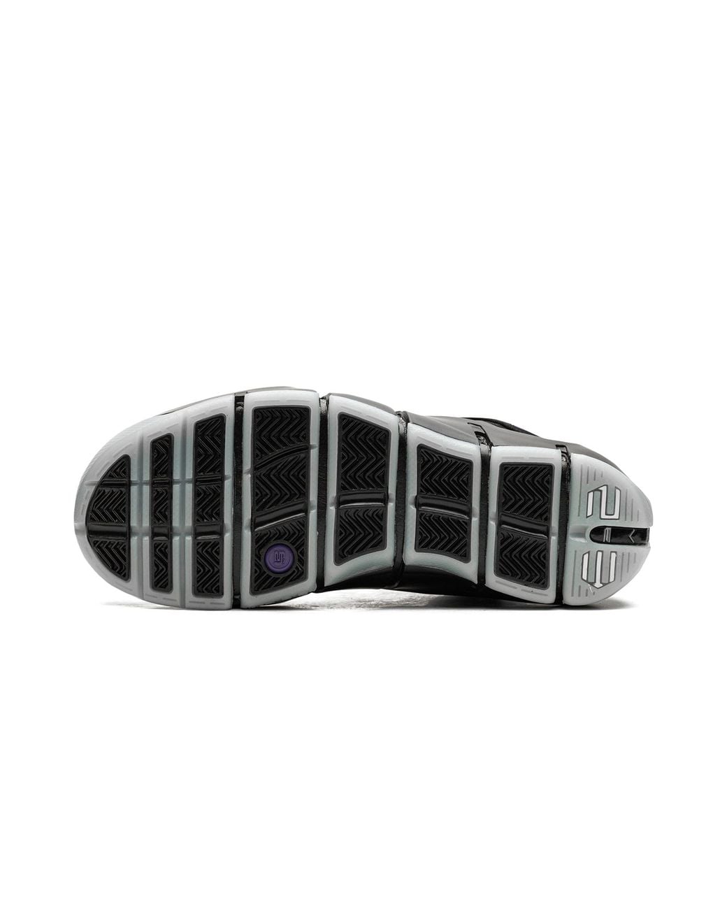 Nike Black Lebron 4 "Eggplant" Fn6251 001" for men