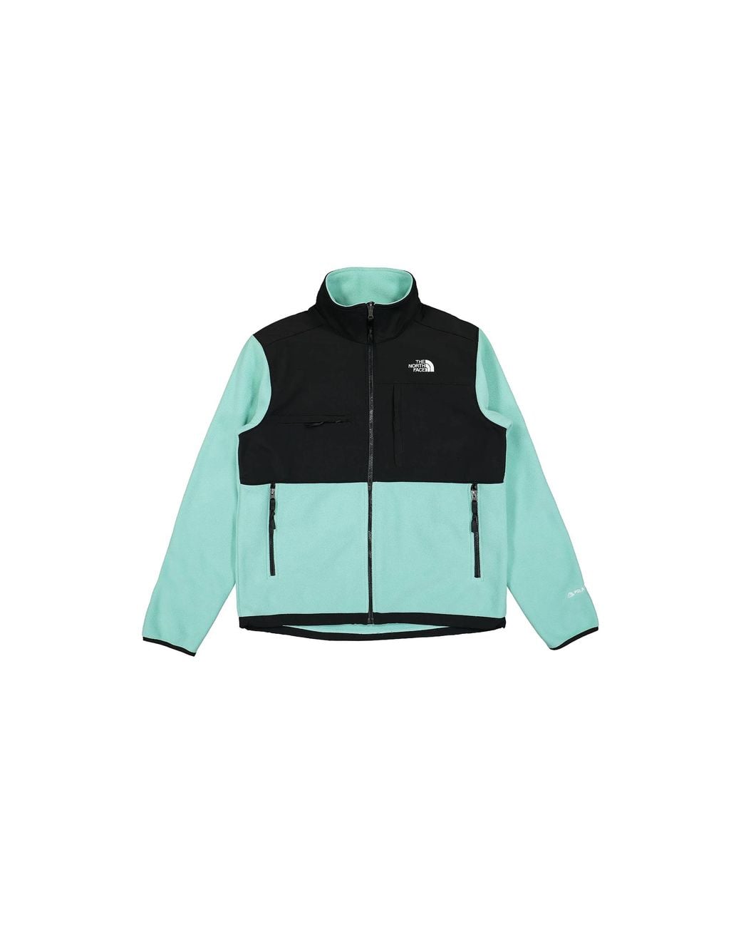 The North Face Green Denali Jacket "Wasabi" Nf0A7Ur26R7" for men