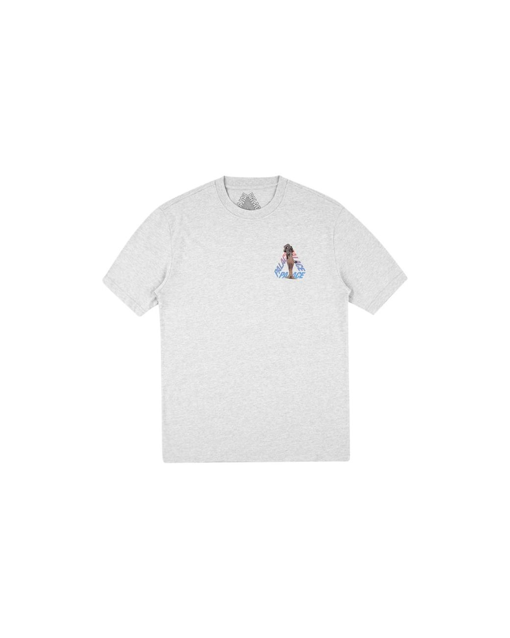 Palace Black Rolls P3 T-Shirt P17Ts132T" for men