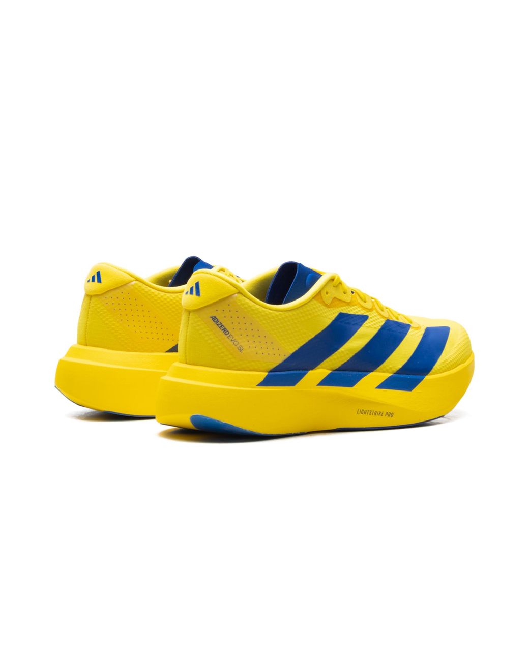 Adidas Yellow Adizero Evo Sl Royal" Kk3673" for men