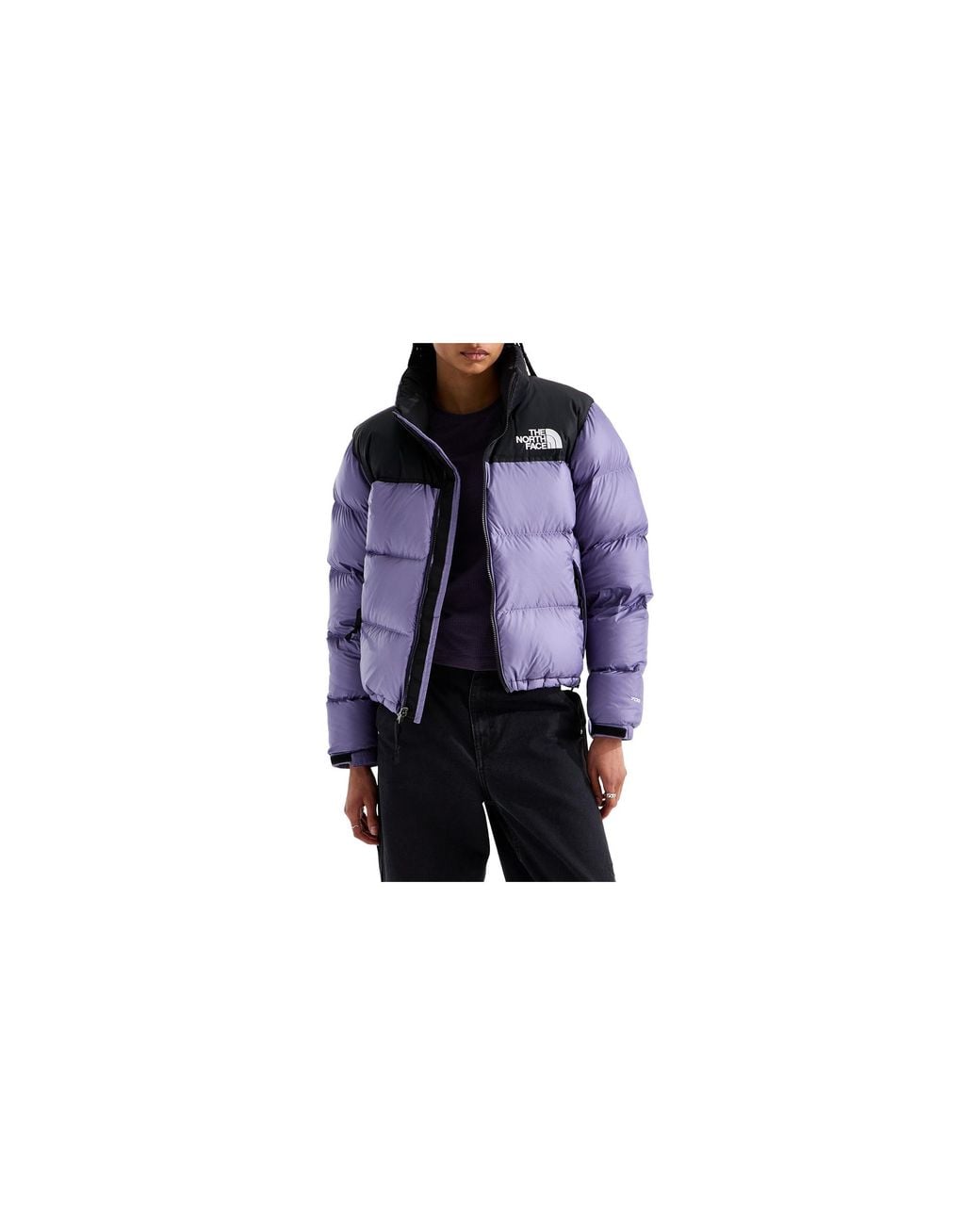 The North Face Black 1996 Retro Nuptse Jacket "Grounded Plum Tnf" Nf0A3Xeor01"
