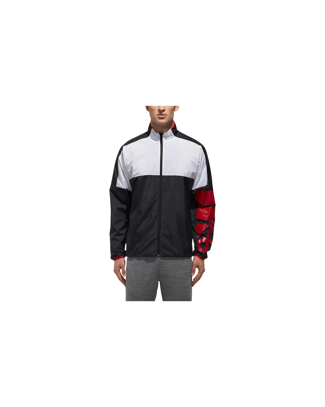 Adidas Black Club Tennis Jacket Zip-Up Cz0606" for men