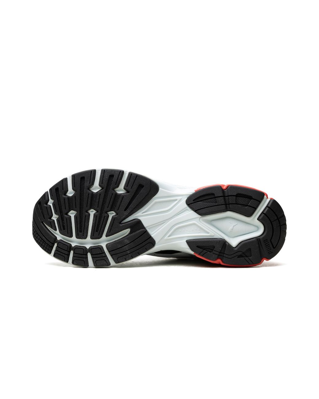 PUMA Black Velophasis "Mercedes Amg Petronas Motorsport Dewdrop" 308114 01" for men