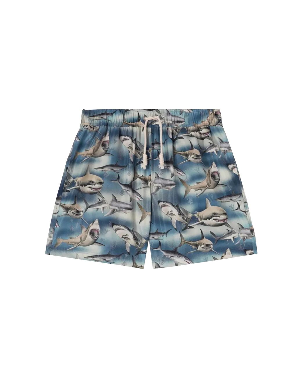 Palm Angels Blue Shark Print Swimshorts Pmfd002S23Fab0064510" for men