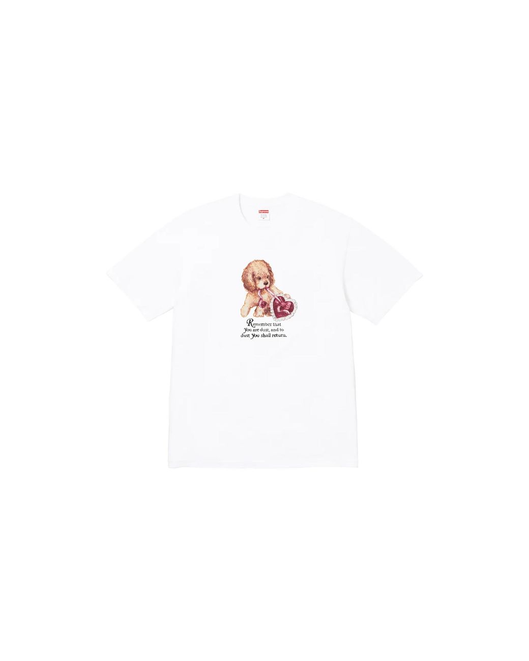 Supreme Black Dust T-Shirt "Fw25