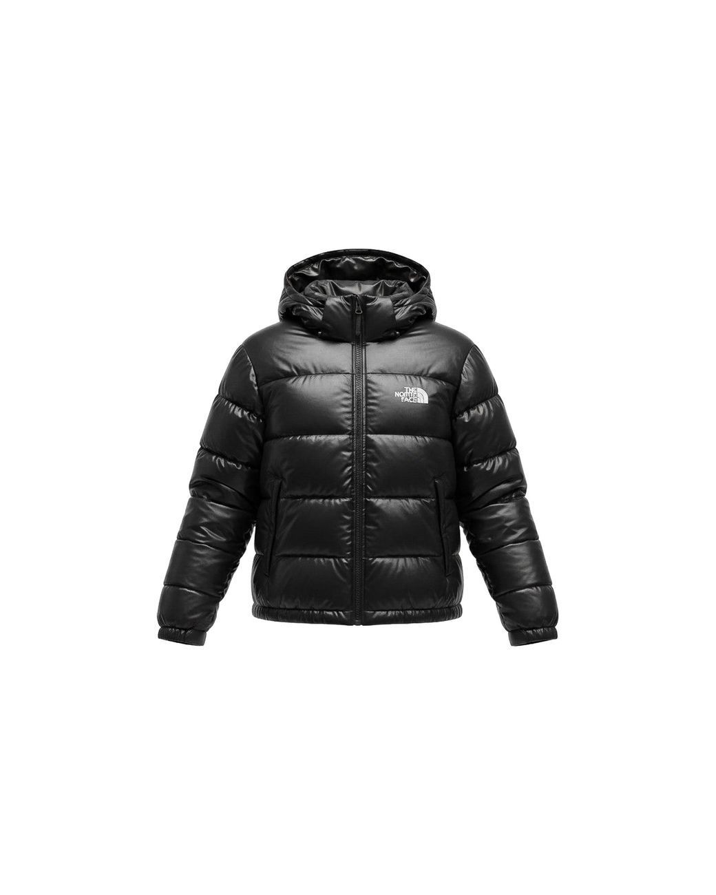 The North Face Black Hydrenalite Down Hoodie "Tnf Shine" Nf0A5Gggymv"