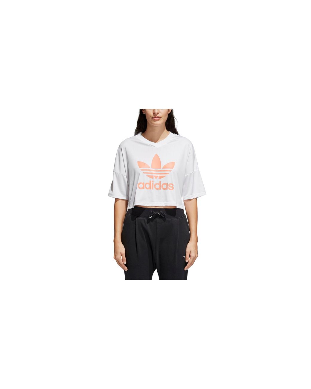 Adidas Black Trefoil T-Shirt Cd6875"