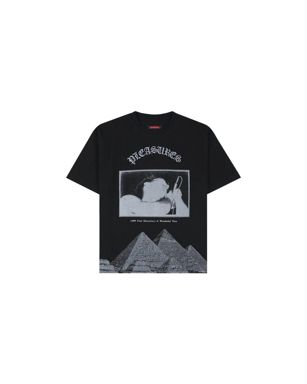Pleasures Black Elevation Heavyweight T-Shirt P25W047" for men