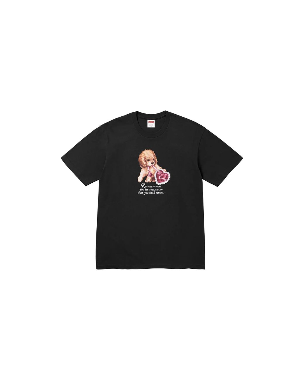 Supreme Black Dust T-Shirt "Fw25