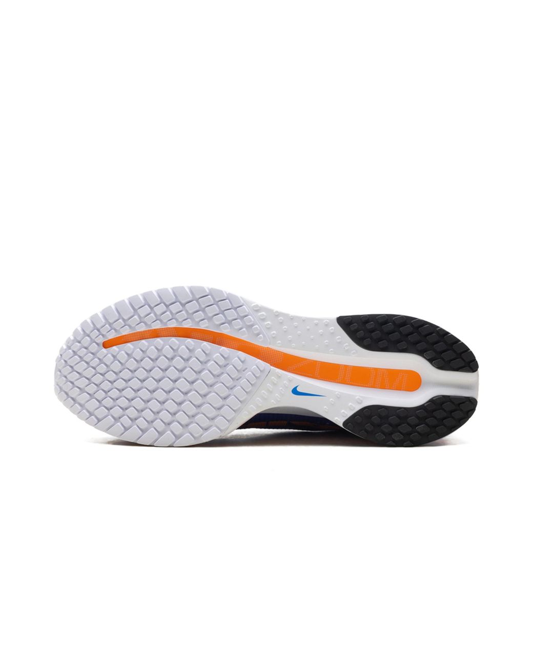Nike Blue Pegasus Premium Road Running Shoes for men