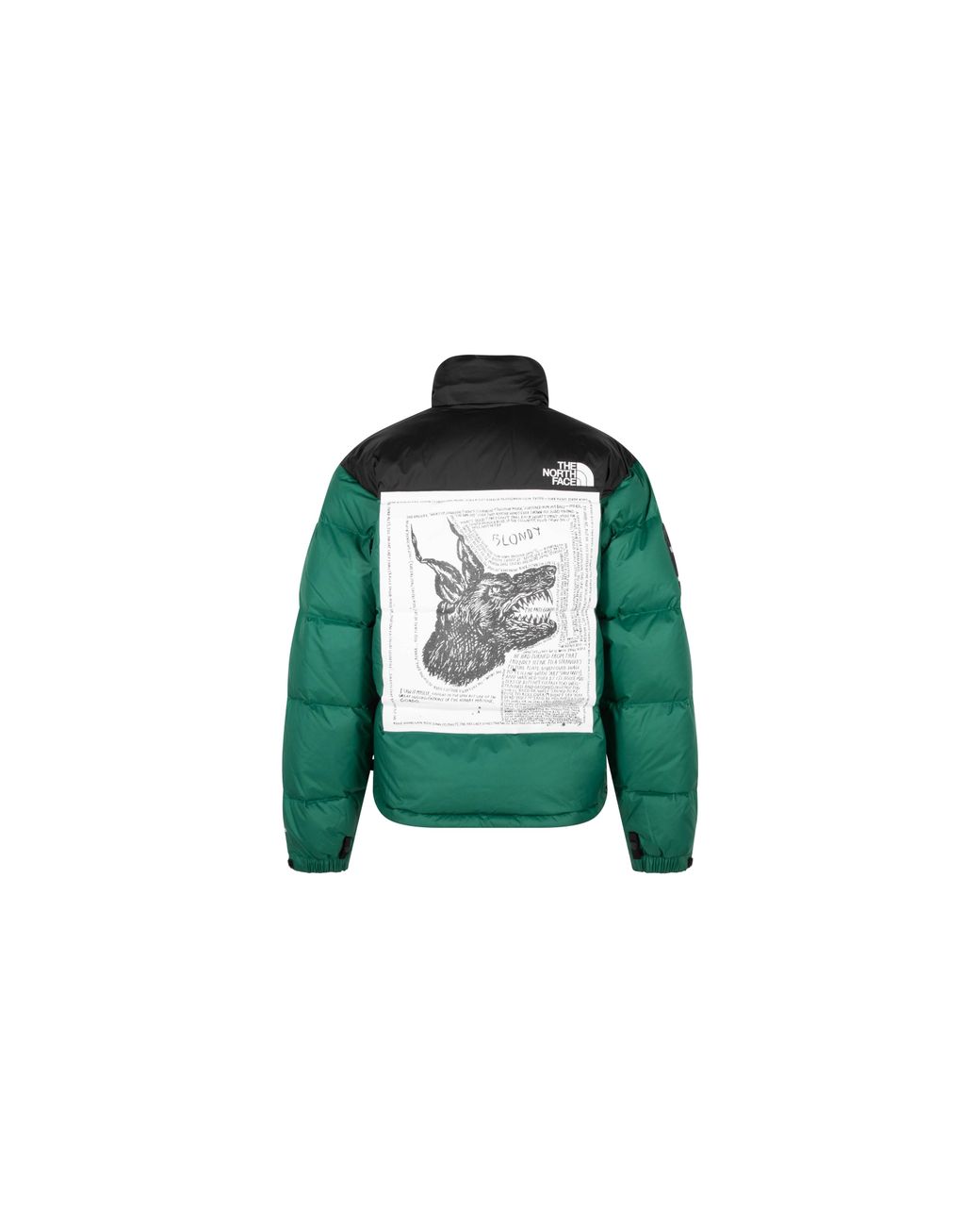 Supreme Green The North Face Nuptse Jacket "Fw24" Su711"